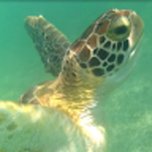 Meet your Posher, Stefanie